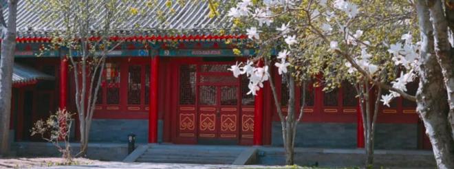 马筱梅的婚礼太潦草四合院布置简陋j9国际汪小菲二婚穿高跟皮鞋他和(图2)