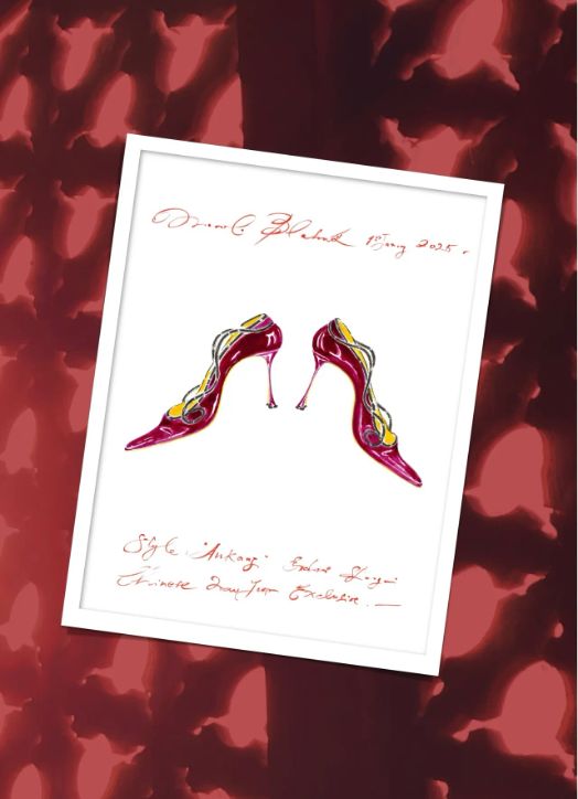 LAHNIK登陆天猫奢品j9平台MANOLO B(图4)